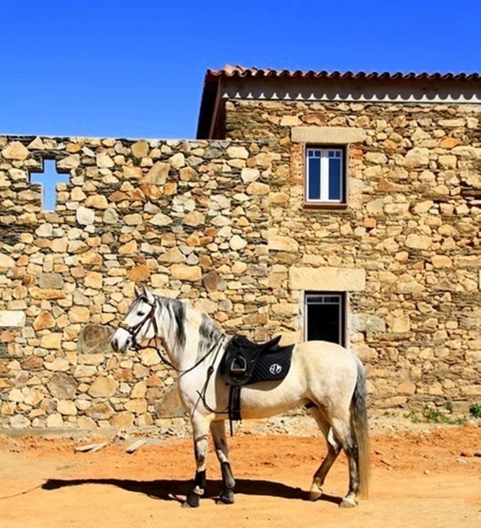 Couto Dos Pardinhos Villa Monforte da Beira Eksteriør bilde