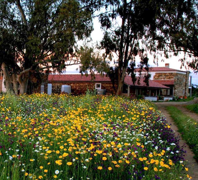Couto Dos Pardinhos Villa Monforte da Beira Eksteriør bilde