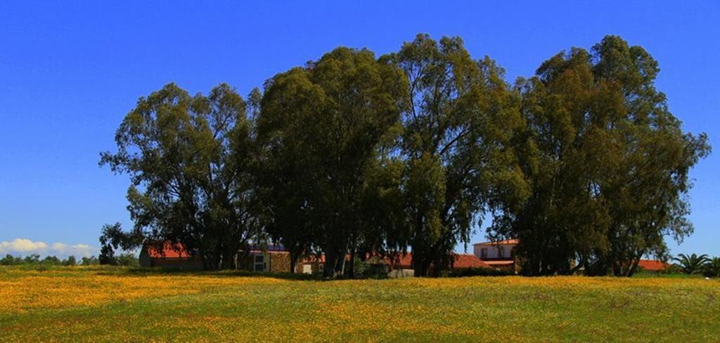 Couto Dos Pardinhos Villa Monforte da Beira Eksteriør bilde