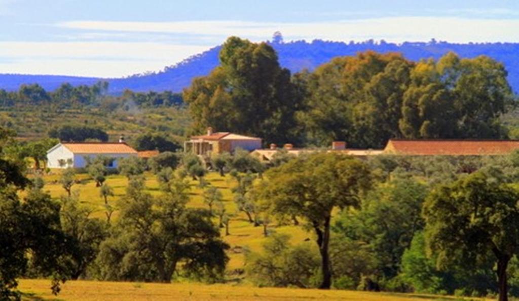 Couto Dos Pardinhos Villa Monforte da Beira Eksteriør bilde